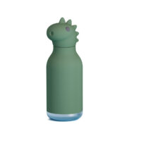 Bestie Bottle Dinosaur Double Wall Insulated Bottle 460ml Green