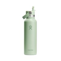 21oz Standard Flex Straw Cap Aloe
