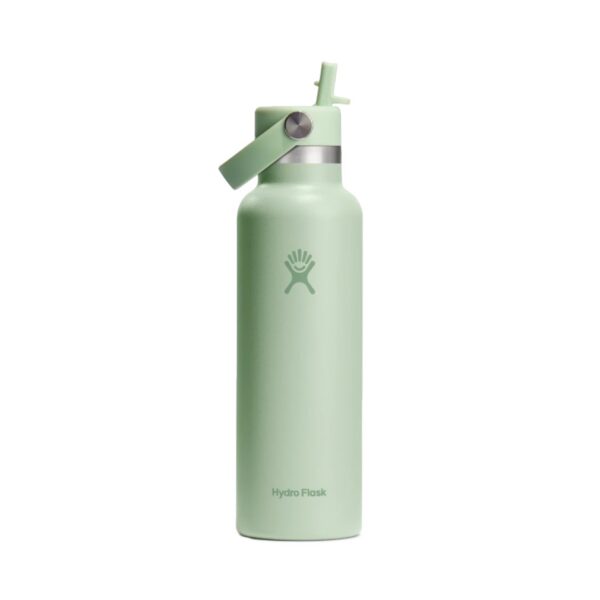 21oz Standard Flex Straw Cap Aloe