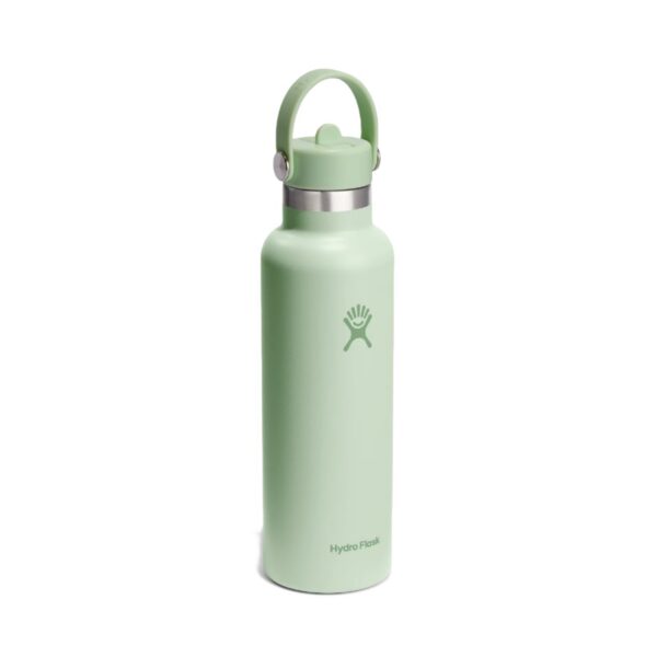 21oz Standard Flex Straw Cap Aloe