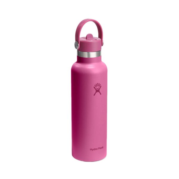 21oz Standard Flex Straw Cap Reef