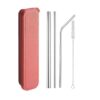 5 Piece Stainless Steel Straw Set With Case