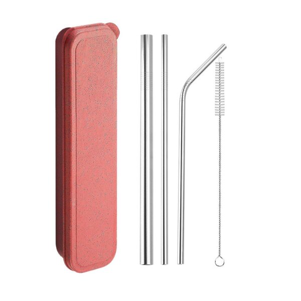 5 Piece Stainless Steel Straw Set With Case