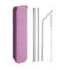 5 Piece Stainless Steel Straw Set With Case