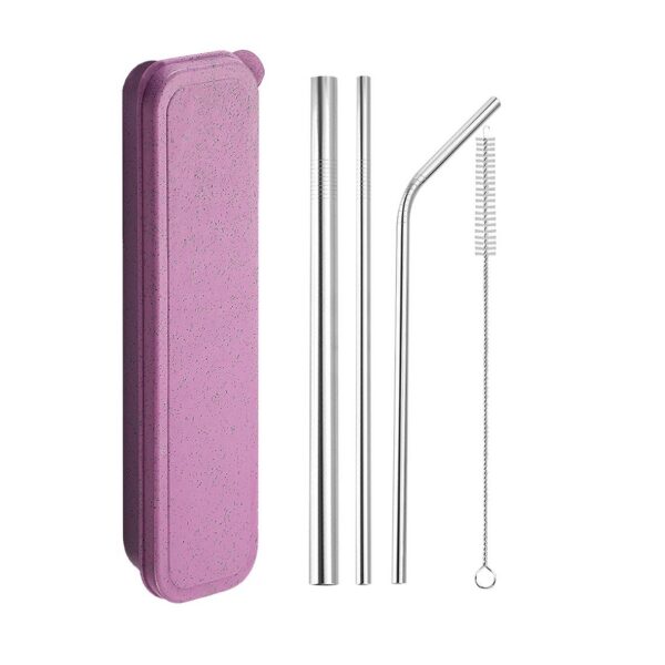 5 Piece Stainless Steel Straw Set With Case