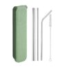 5 Piece Stainless Steel Straw Set With Case