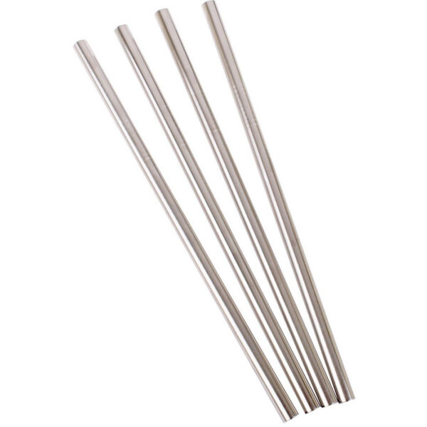 S/S Straight Smoothie Straws
