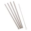 S/S Straight Smoothie Straws set 4