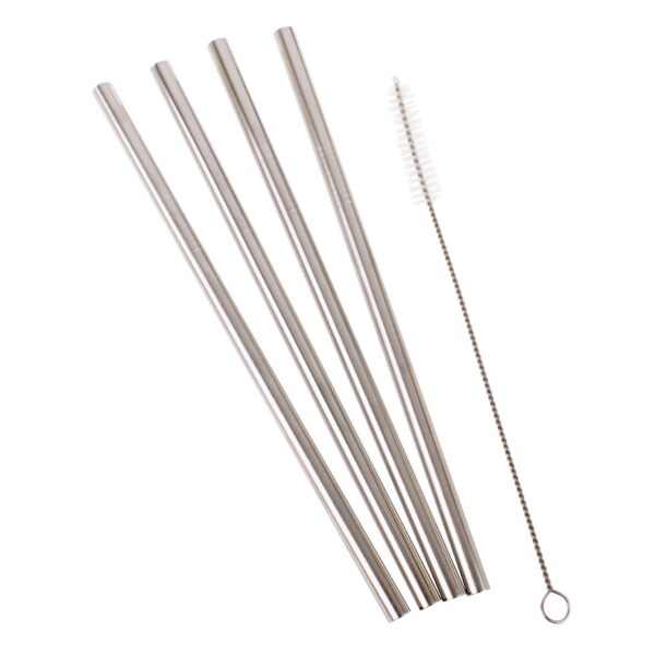 S/S Straight Smoothie Straws set 4