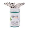 Stainless Steel Bent Drinking Straw - Individual