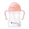 Sippy Cup V2 Tutti Frutti