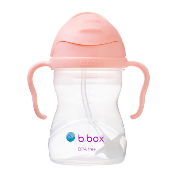 Sippy Cup V2 Tutti Frutti