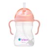 Sippy Cup V2 Tutti Frutti