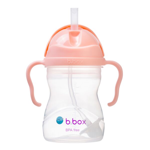 Sippy Cup V2 Tutti Frutti
