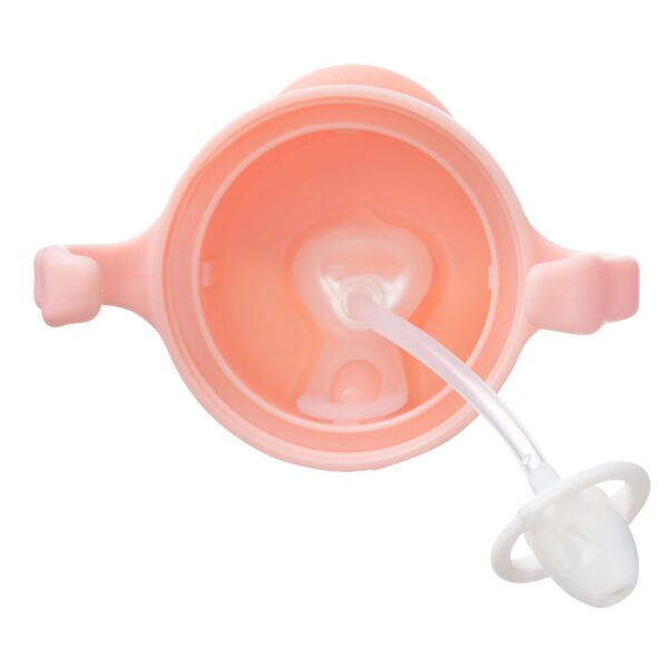 Sippy Cup V2 Tutti Frutti