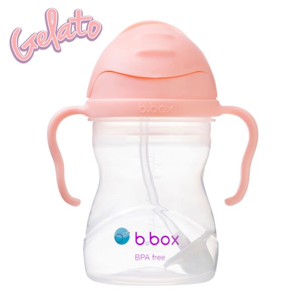 Sippy Cup V2 Tutti Frutti