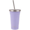 Double Wall Insulated Tumbler W/Straw
