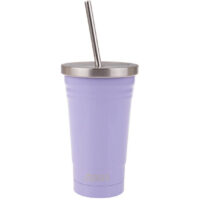 Double Wall Insulated Tumbler W/Straw