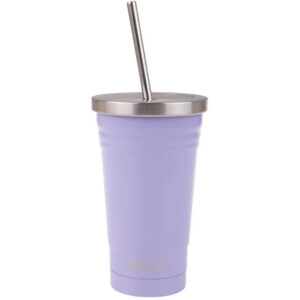 Double Wall Insulated Tumbler W/Straw
