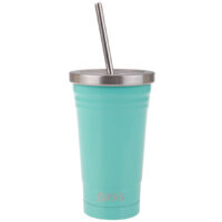 Double Wall Insulated Tumbler W/Straw