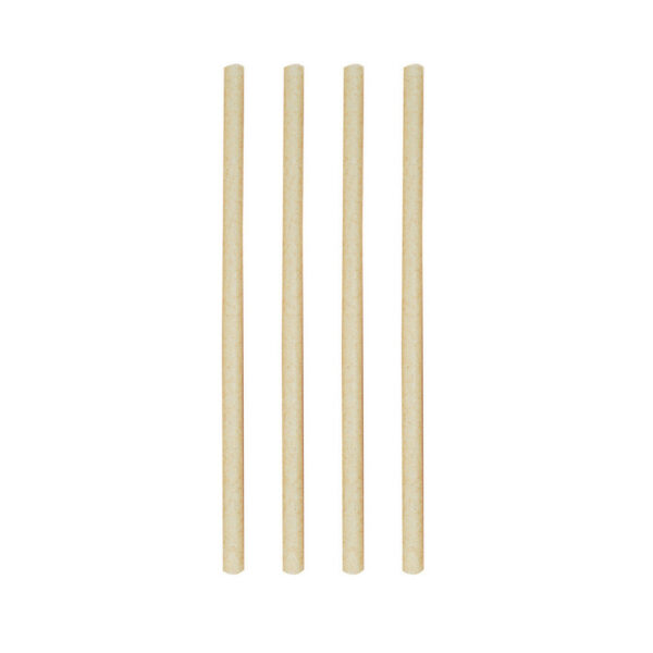 Smoothie Sugar Cane Straws 23cm - Set of 24