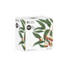 Botanic Mug Gum 300ml