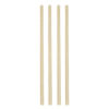 Sugar Cane Straws 23cm - Set 50