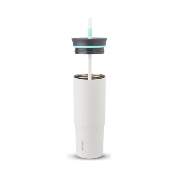 Tumbler Stainless Steel 24oz Cloudscape (Grey White)